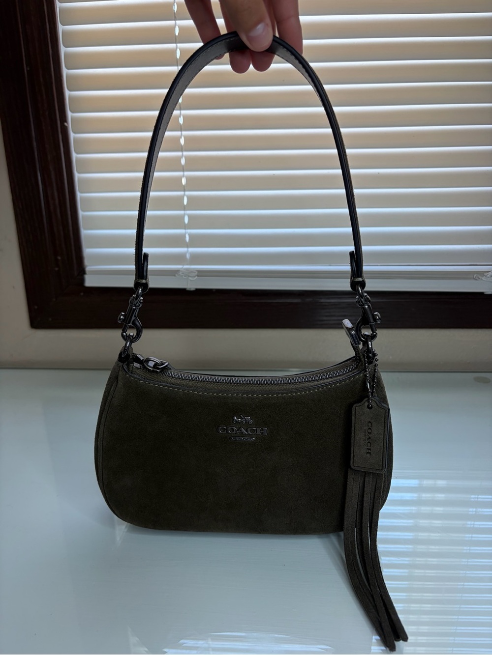 COACH Green Suede Mini Teri